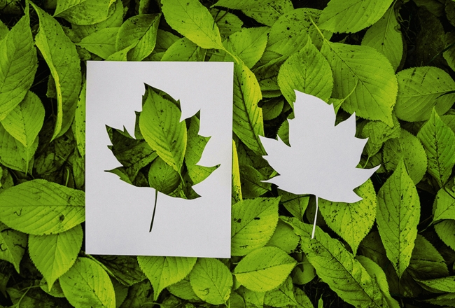 Duurzaam printpapier